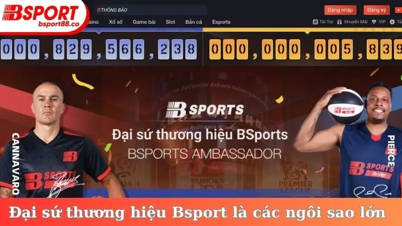 Đại sứ thương hiệu Bsport là các ngôi sao lớn