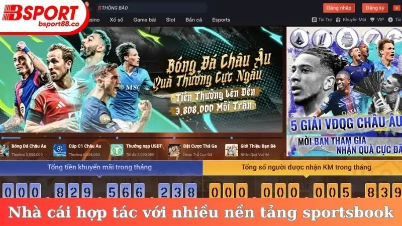 Nhà cái hợp tác với nhiều nền tảng sportsbook