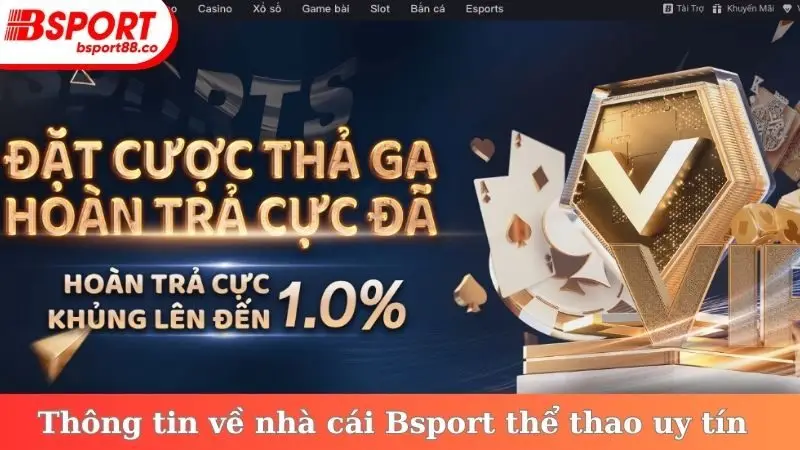 Thông tin về nhà cái Bsport thể thao uy tín