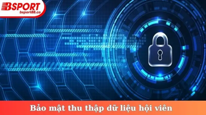 Bảo mật thu thập dữ liệu hội viên