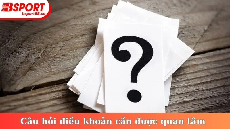 Câu hỏi điều khoản cần được quan tâm