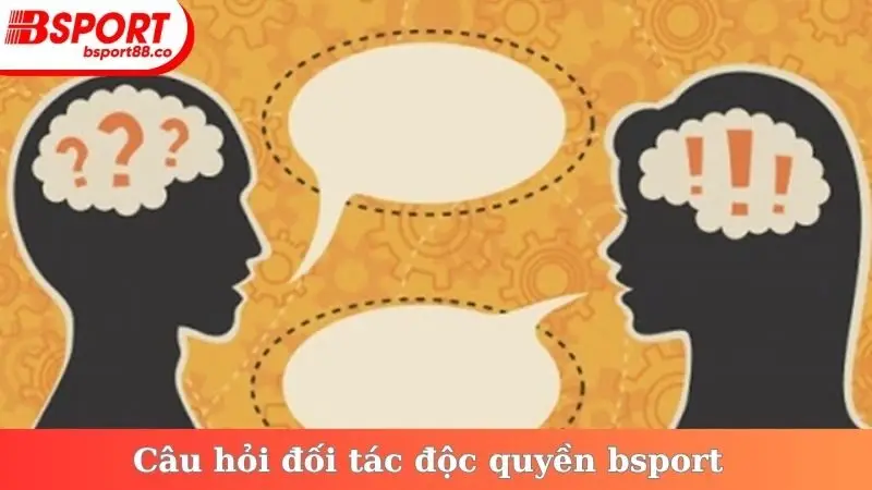 Câu hỏi đối tác độc quyền bsport