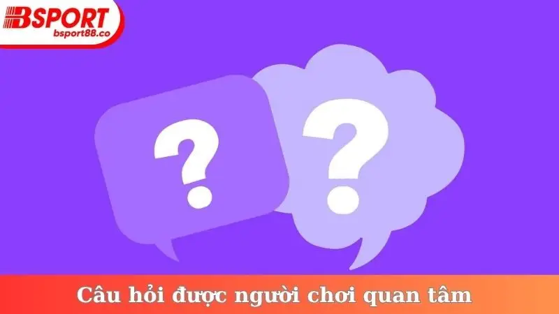 Câu hỏi được người chơi quan tâm