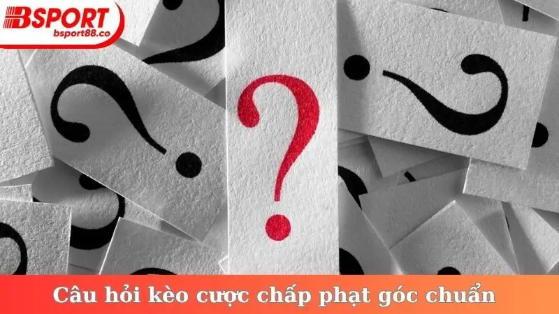 Câu hỏi kèo cược chấp phạt góc chuẩn