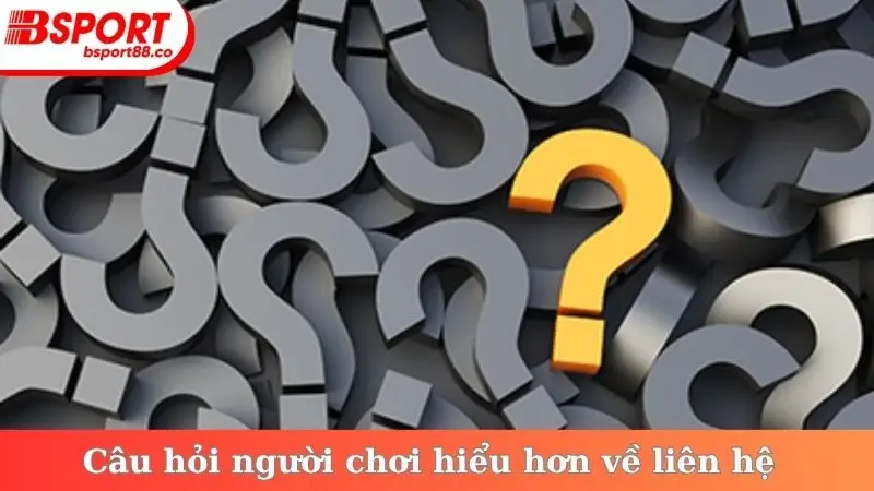 Câu hỏi người chơi hiểu hơn về liên hệ