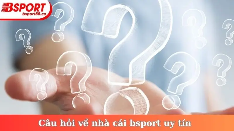 Câu hỏi về nhà cái bsport uy tín