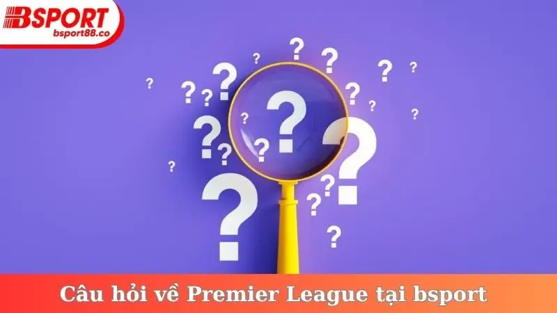 Câu hỏi về Premier League tại bsport