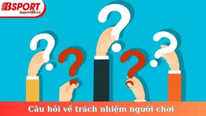 Câu hỏi về trách nhiệm người chơi