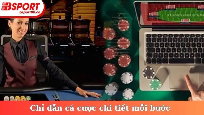 Chỉ dẫn cá cược chi tiết mỗi bước