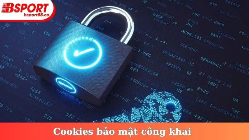 Cookies bảo mật công khai