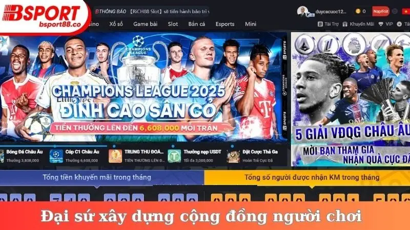 Đại sứ xây dựng cộng đồng người chơi