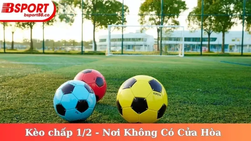 Kèo chấp 1/2