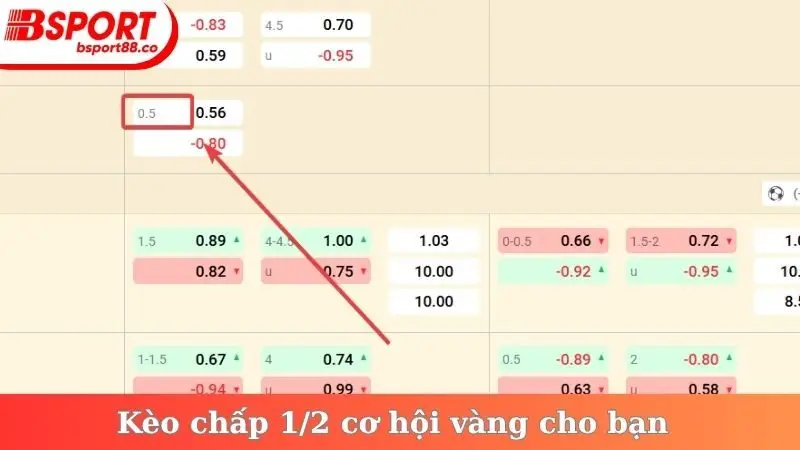 Kèo chấp 1/2 cơ hội vàng cho bạn