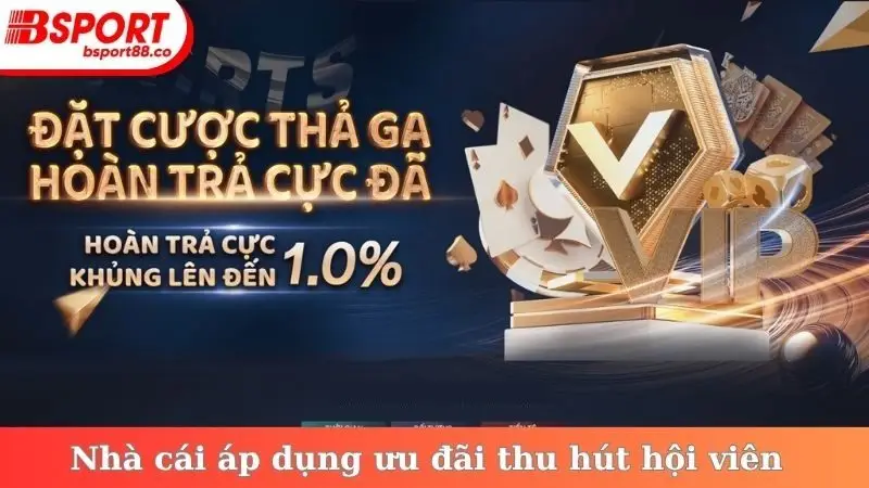 Nhà cái áp dụng ưu đãi thu hút hội viên
