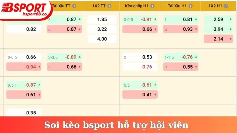 Soi kèo bsport hỗ trợ hội viên