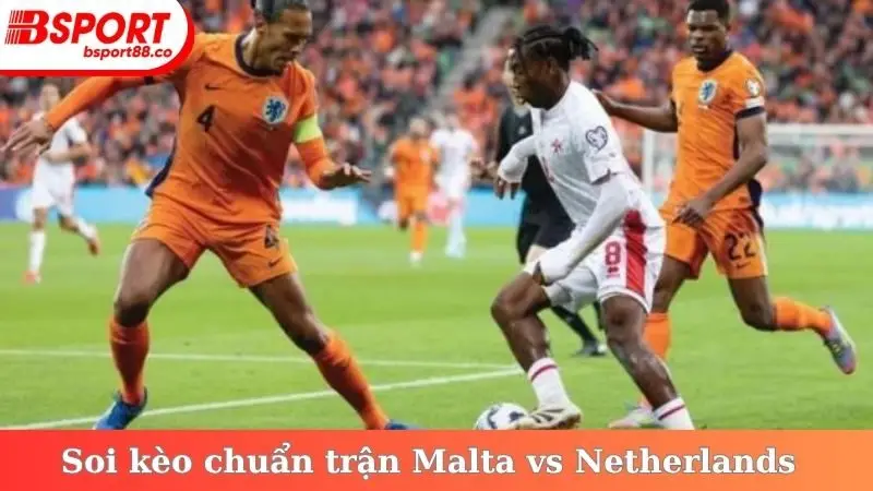 Soi kèo chuẩn trong trận Malta vs Netherlands rạng sáng 10/10