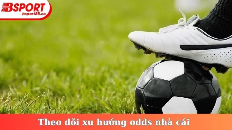 Theo dõi xu hướng odds nhà cái