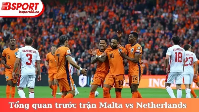Tổng quan trước trận Malta vs Netherlands vòng loại World Cup 2026