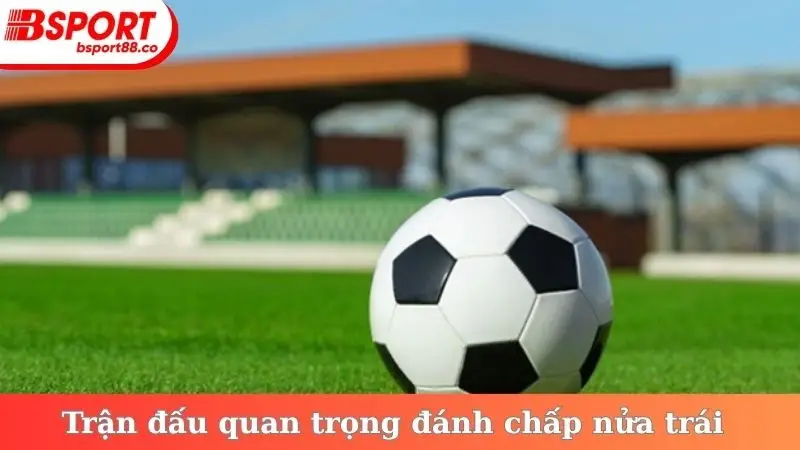Trận đấu quan trọng đánh chấp nửa trái