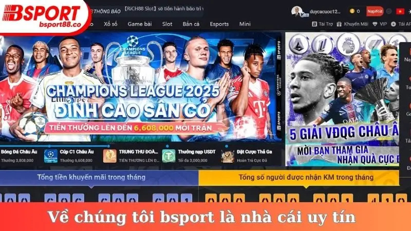 Về chúng tôi bsport là nhà cái uy tín